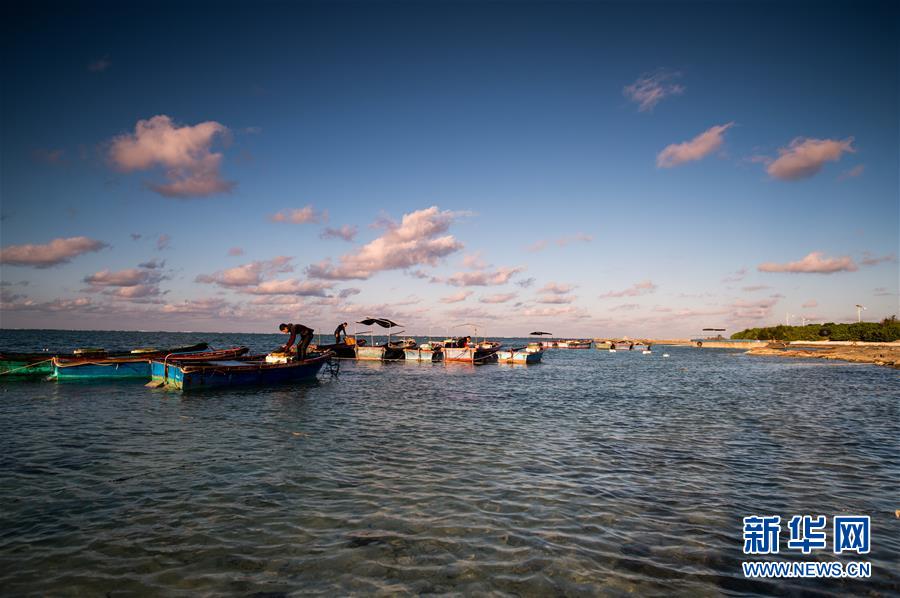 打渔归来的渔民在三沙赵述岛的渔港整理当日的收获.jpg