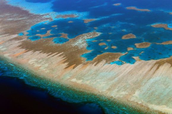 西沙群岛的珊瑚礁盘.jpg