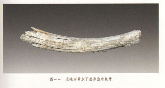 image010.jpg