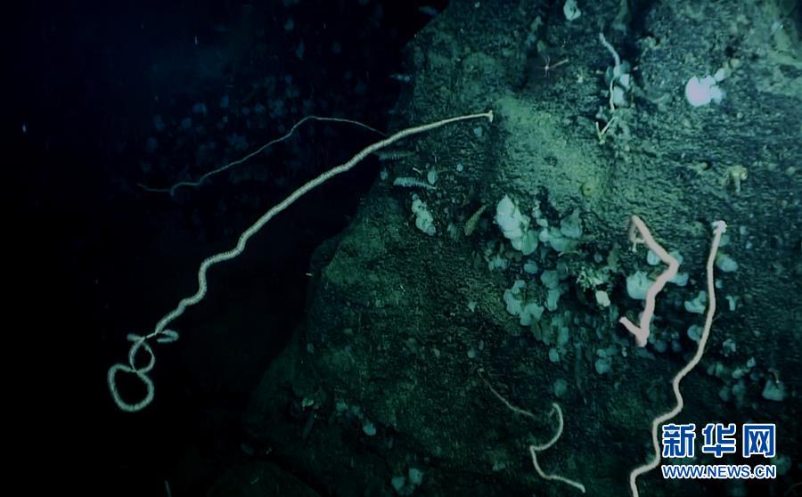 南海3.jpg